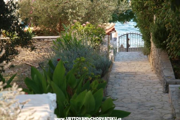 House Diana Brist – photo 8
