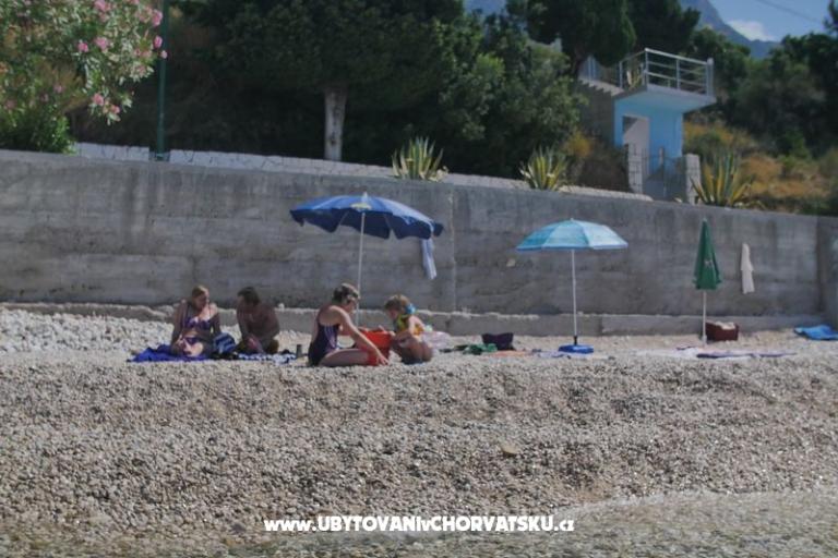 Pansion Gomila – photo 13