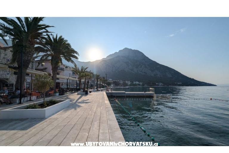 Vice Apartments – photo 7