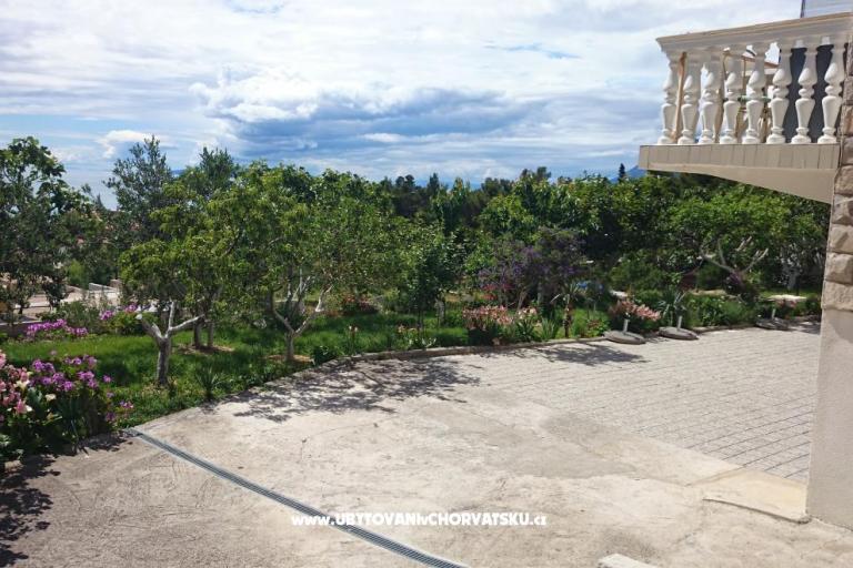 Vila Fefan – photo 8