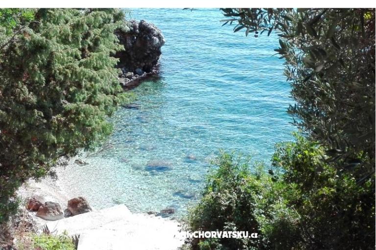 Vila Jadran – photo 8