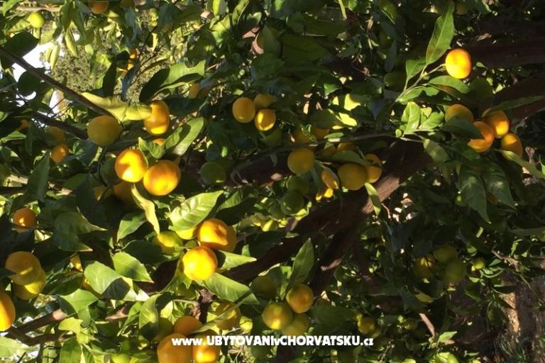 Vila Joško – photo 13