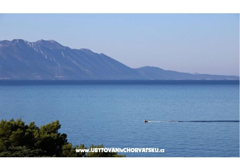 Villa Niko Gradac – photo 10