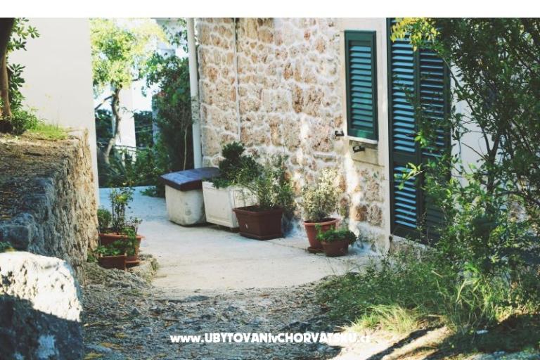 Villa Niko Gradac – photo 3