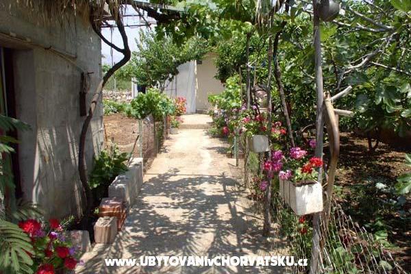 Apartment Antea – photo 3