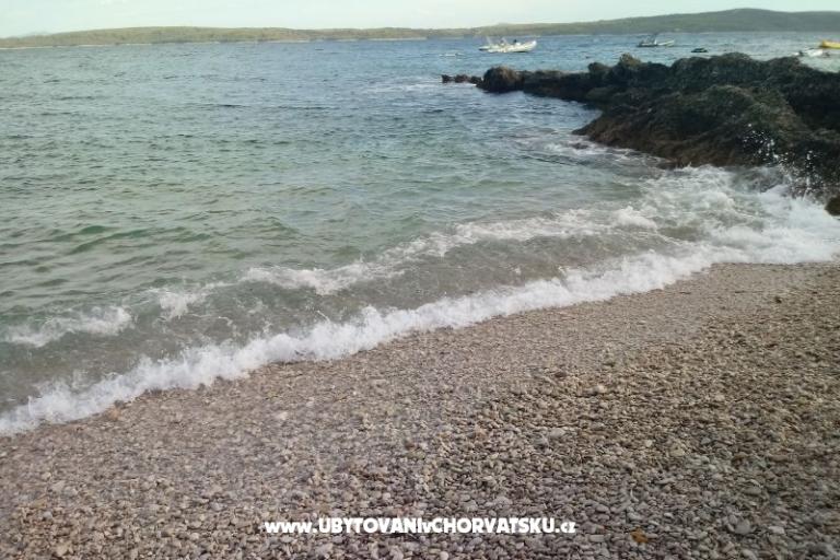 ART AND NATURE  – photo 11