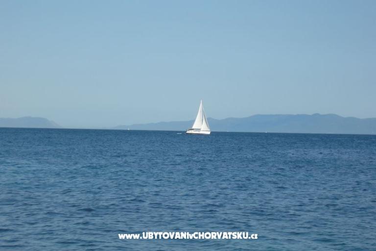 ART AND NATURE  – photo 13