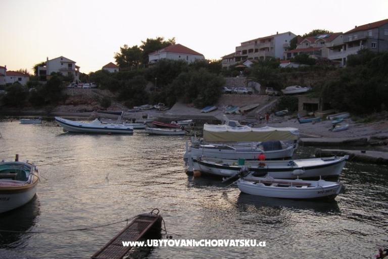 ART AND NATURE  – photo 15