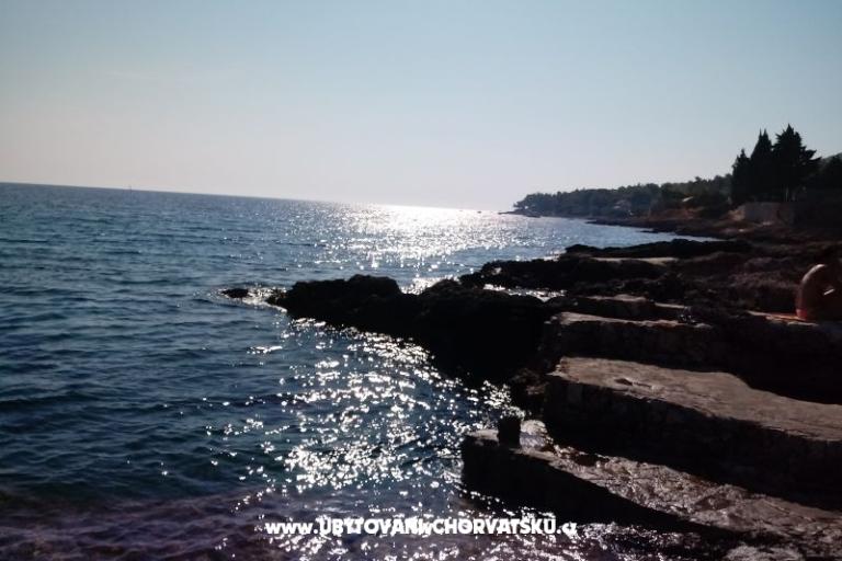 ART AND NATURE  – photo 16