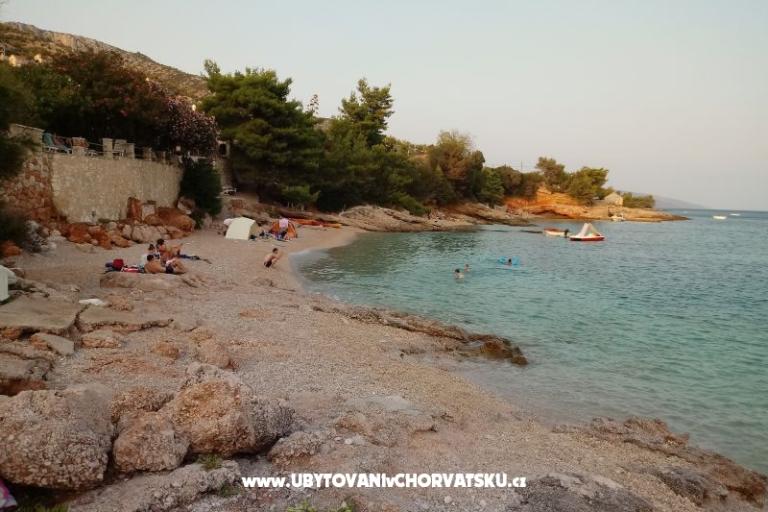 ART AND NATURE  – photo 17