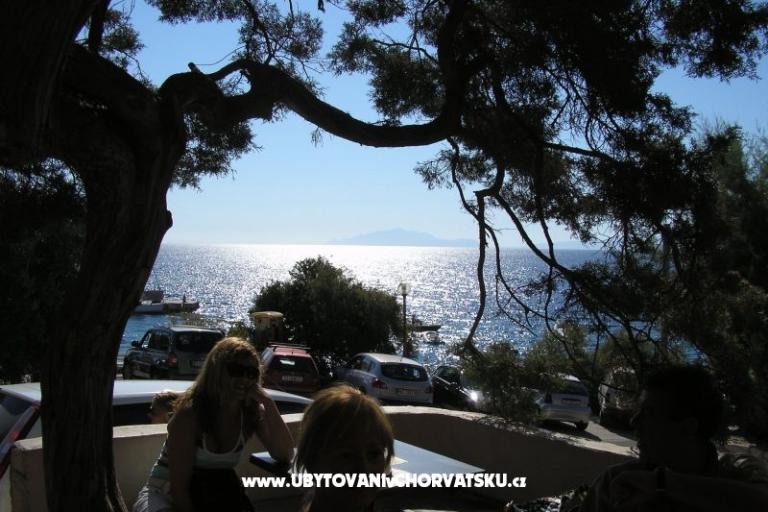 ART AND NATURE  – photo 18