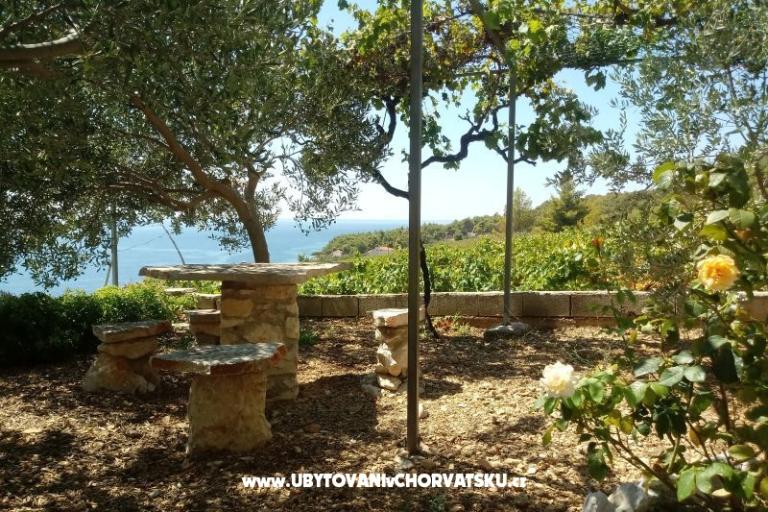 ART AND NATURE  – photo 2