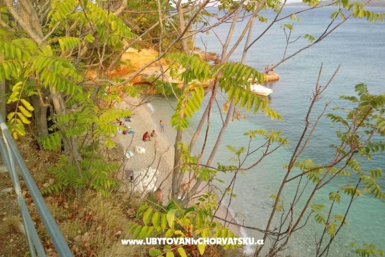 ART AND NATURE  – photo 3