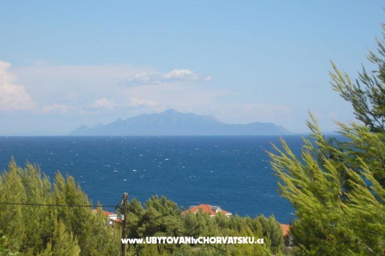 ART AND NATURE  – photo 6