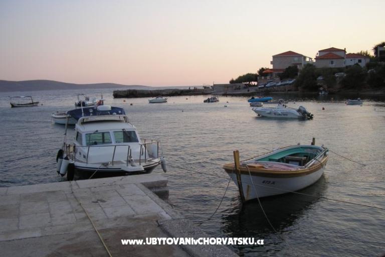 ART AND NATURE  – photo 7