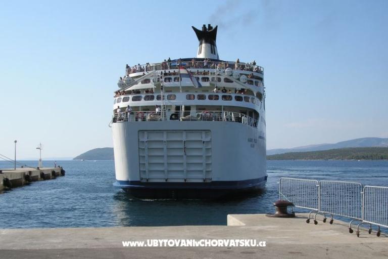 ART AND NATURE  – photo 9