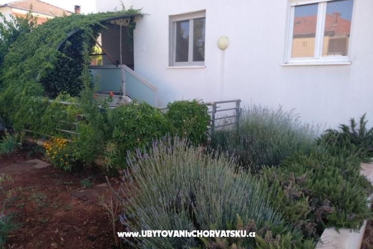 Apartment Paiz – photo 2