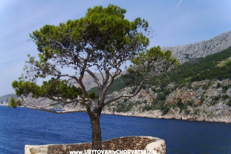 Apartments Anja – photo 7