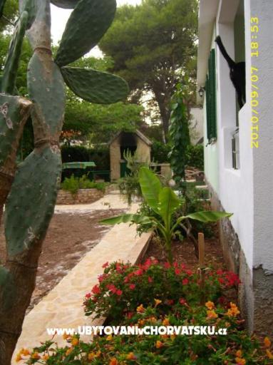 Apartments Antica – photo 9