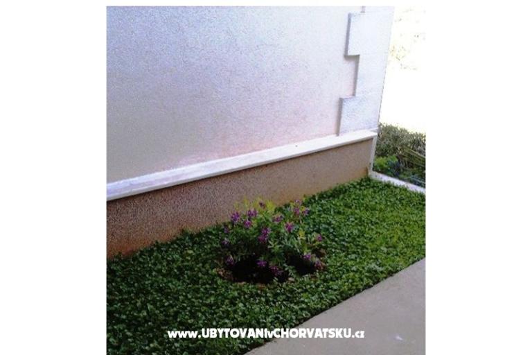 Apartments Belić Nikola – photo 17