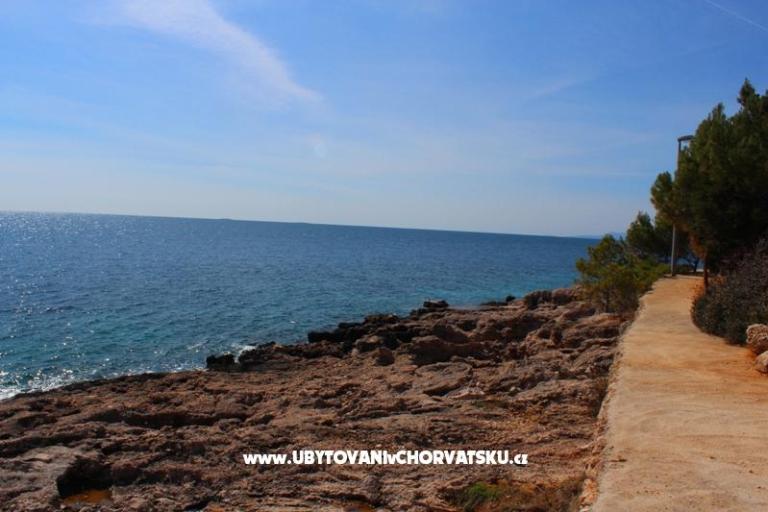 Apartments Floris Ivan Dolac – photo 8