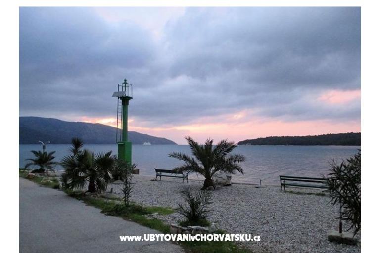 Apartments Dulčić – photo 13