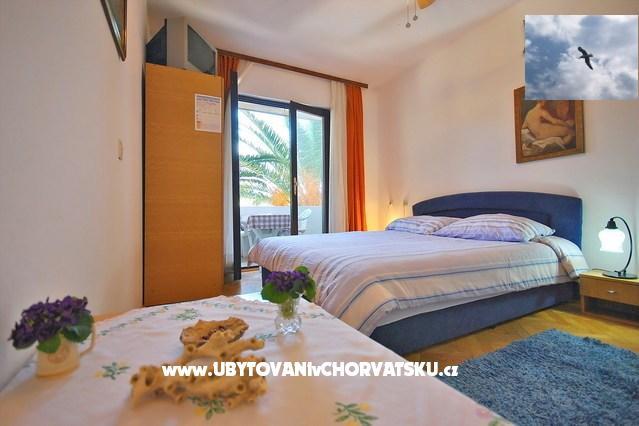 Apartments Grgicevic – photo 6