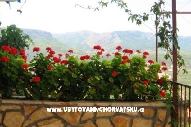 Apartments Jelsa-Hvar – photo 8