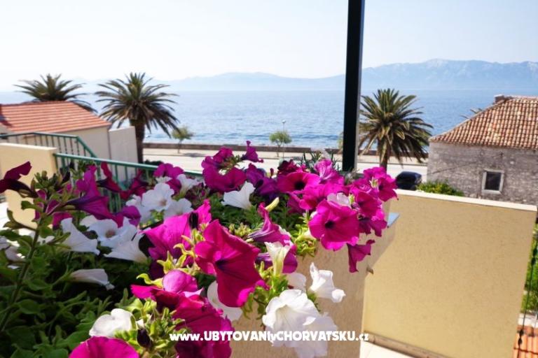 Apartments Jure – photo 12