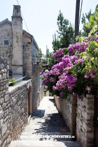 apartman Marina Hvar – photo 7