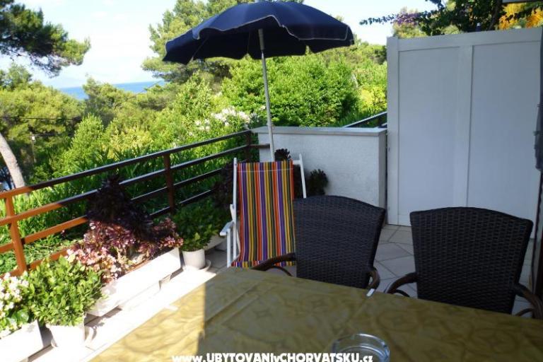 Apartments Martin Reljanović – photo 10