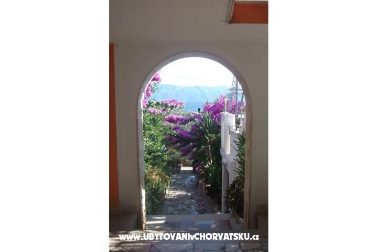 Apartments Nada – photo 4