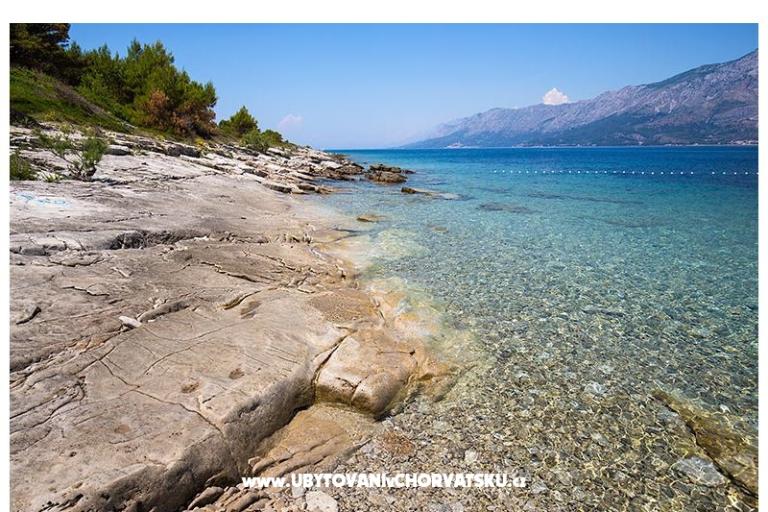 Guest House  - Piacun – photo 17