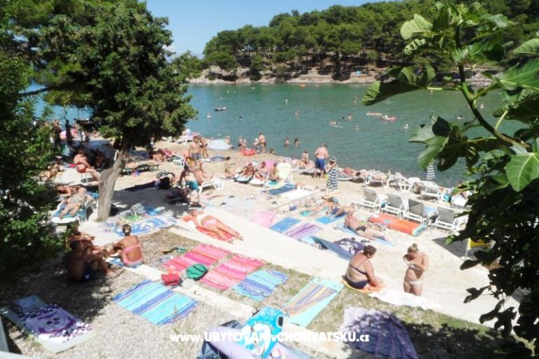 Apartments Stipe – photo 5