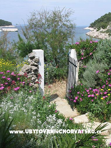 Apartment Stiniva – photo 4
