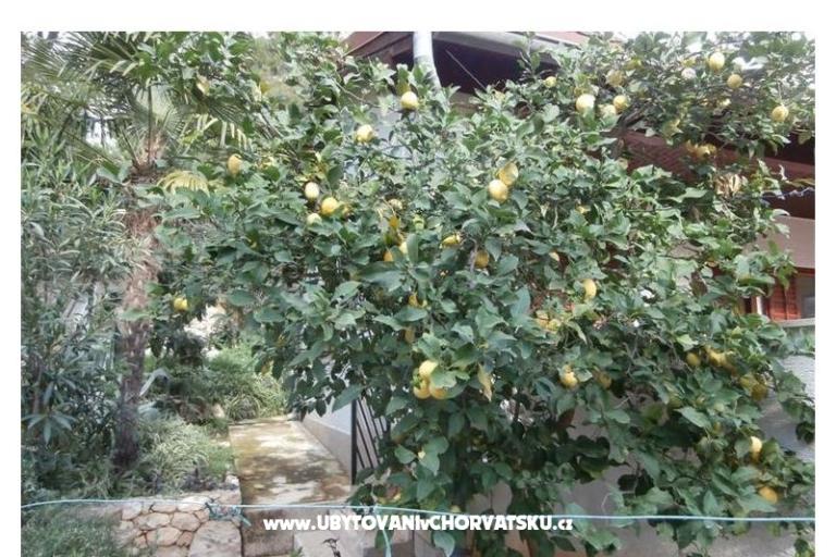 Apartments Bogović – photo 20