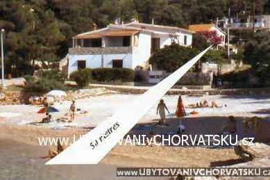 Apartments Bougainvillea – photo 4