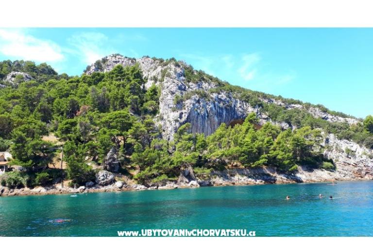 Apartment For You – photo 14