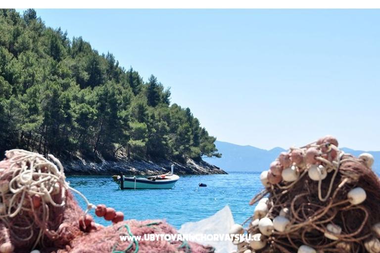 Villa Smokvina  – photo 11