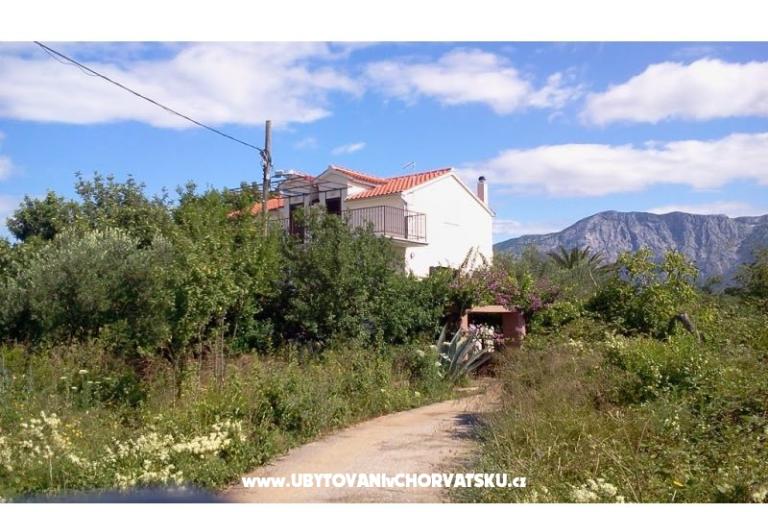 Apartments Rolanda – photo 13