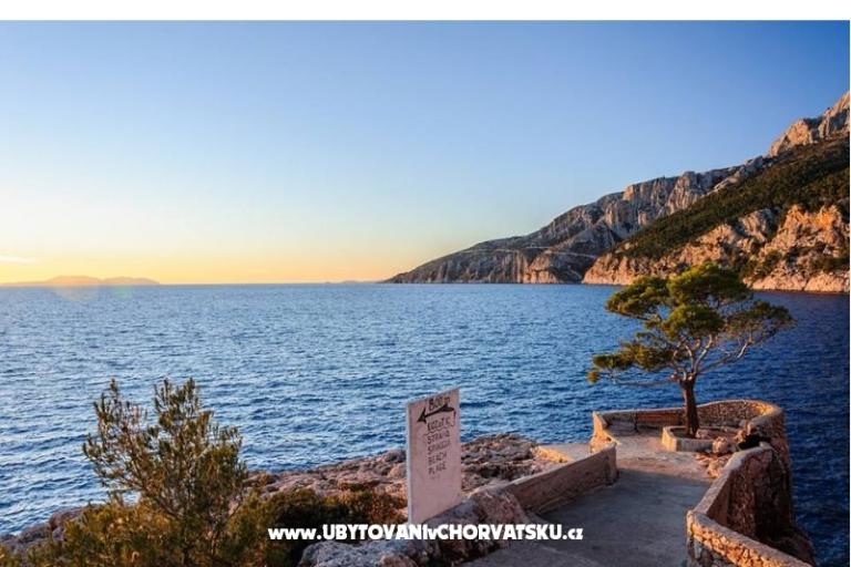 Apartments Villa Ypsilon – photo 6