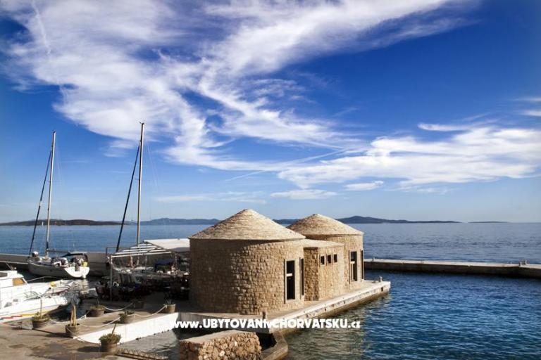 Apartments Villa Ypsilon – photo 8