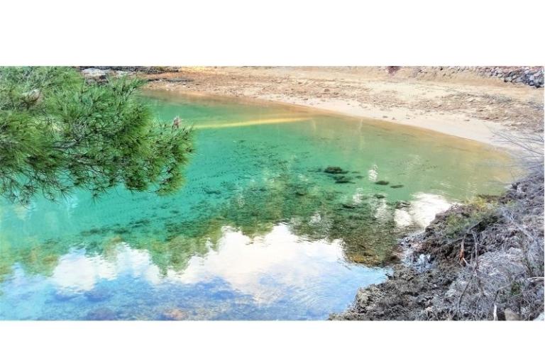 ApartmentsNikolinaGrgicevic – photo 12