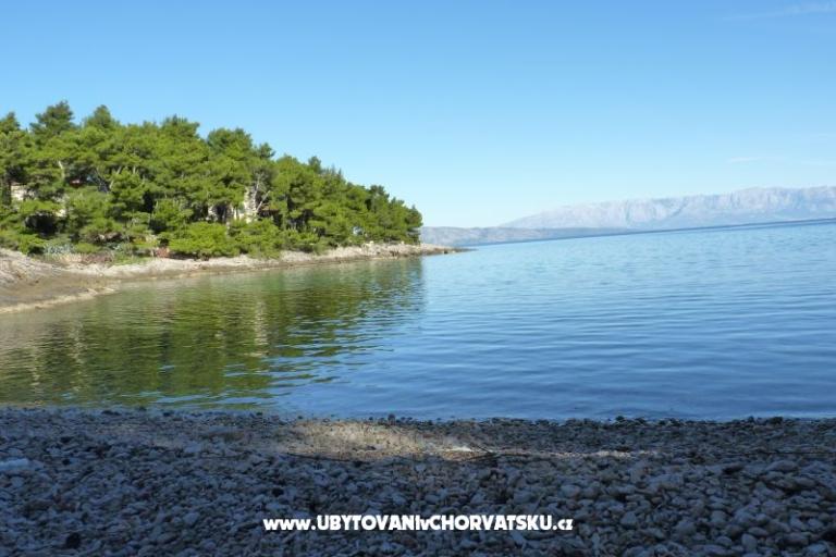 ApartmentsNikolinaGrgicevic – photo 7