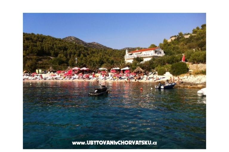 Villa Katarina – photo 16