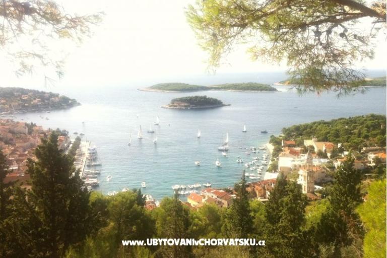 Villa Katarina – photo 17