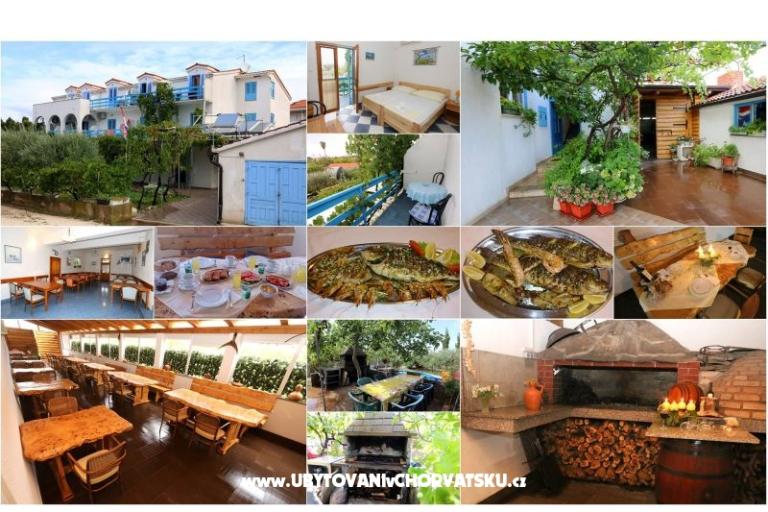 Jadranka Franičević – photo 13