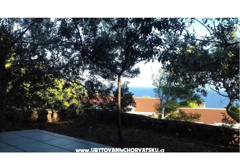 Tigrich apartmani – photo 11