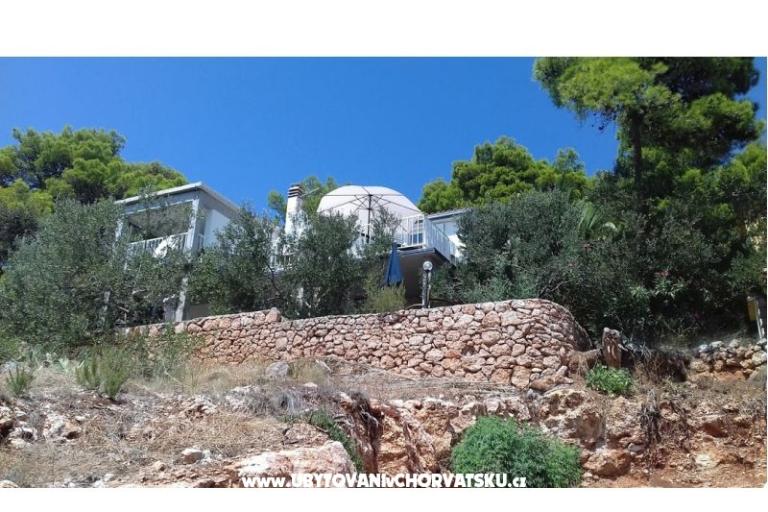 Tigrich apartmani – photo 8