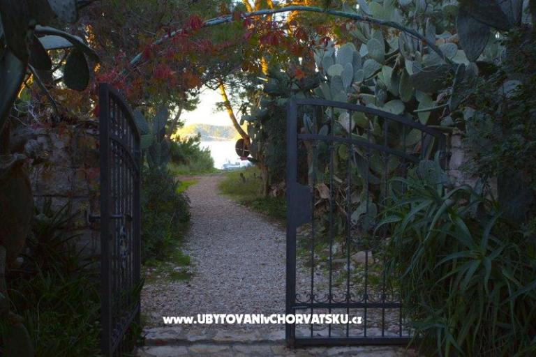 Tonči Vloka – photo 8